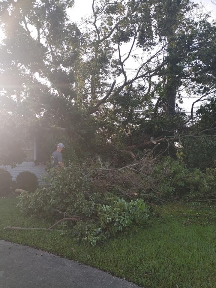 Large tree fallen onto a house with a person standing nearby; debris on grass, overcast.