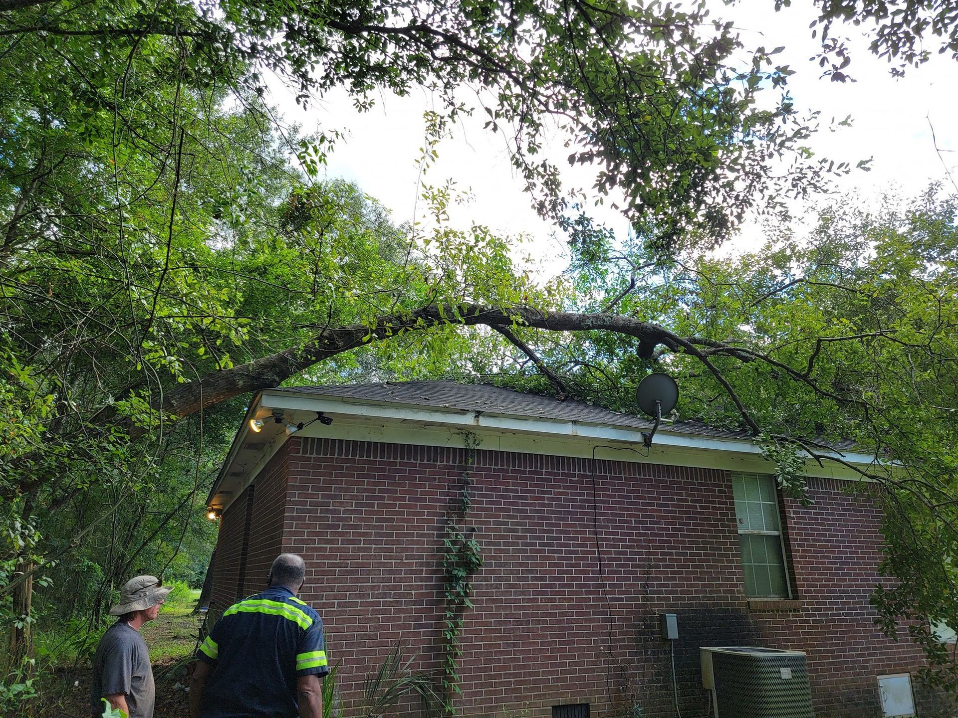 A tree branch fallen on a brick house; two people assess the damage.