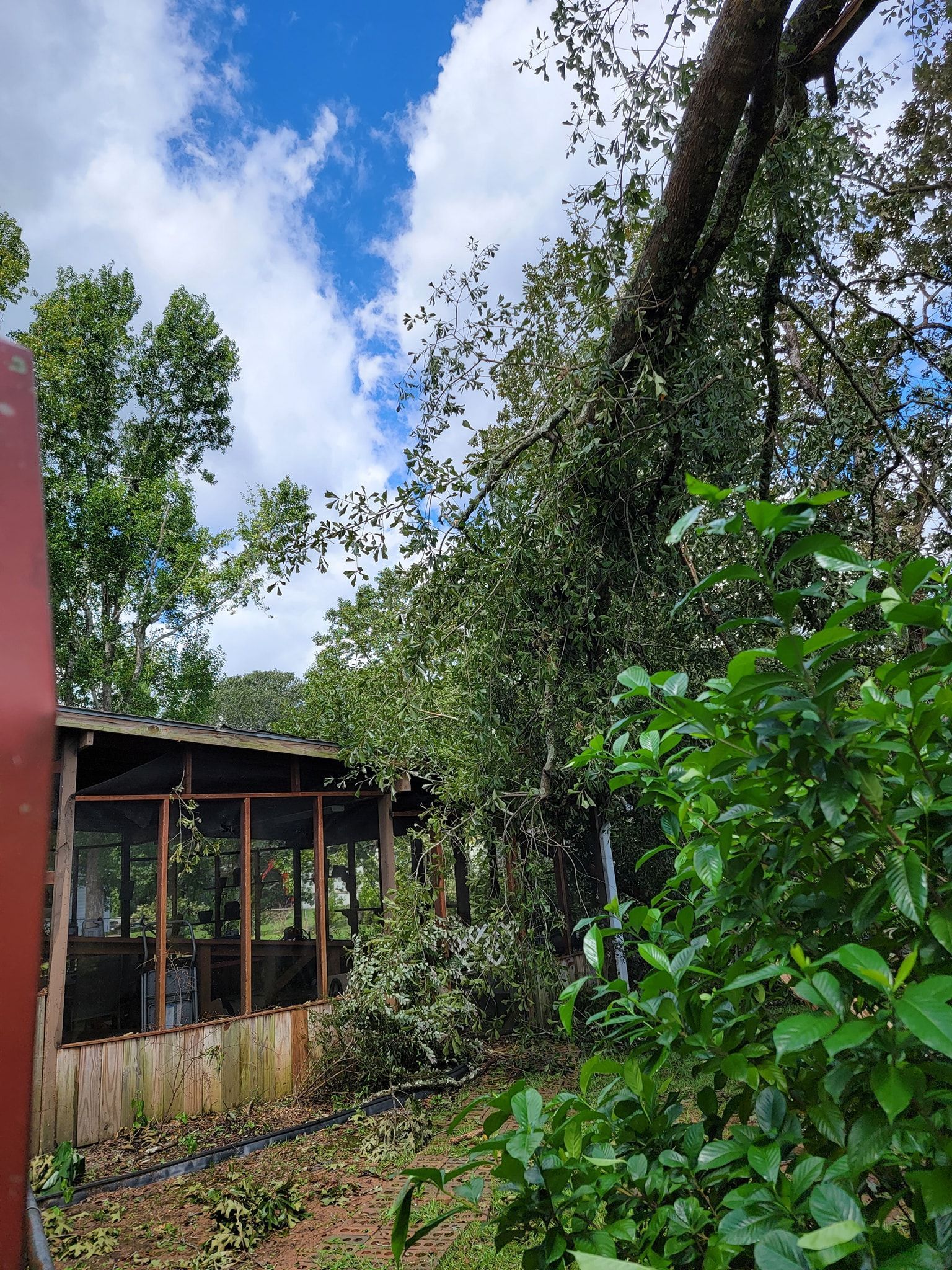 A large tree branch fallen on a wooden structure, with a cloudy blue sky in the background.
