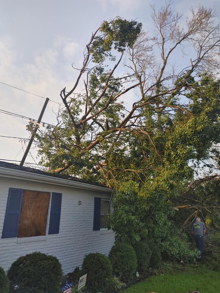 Tree fallen on house, touching power lines. Brown boarded-up window, bushes, and a person are visible.