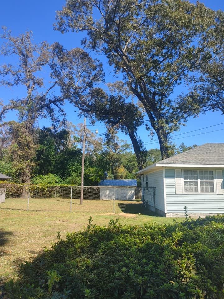 A house with light blue siding and a large tree in front of it on a sunny day.