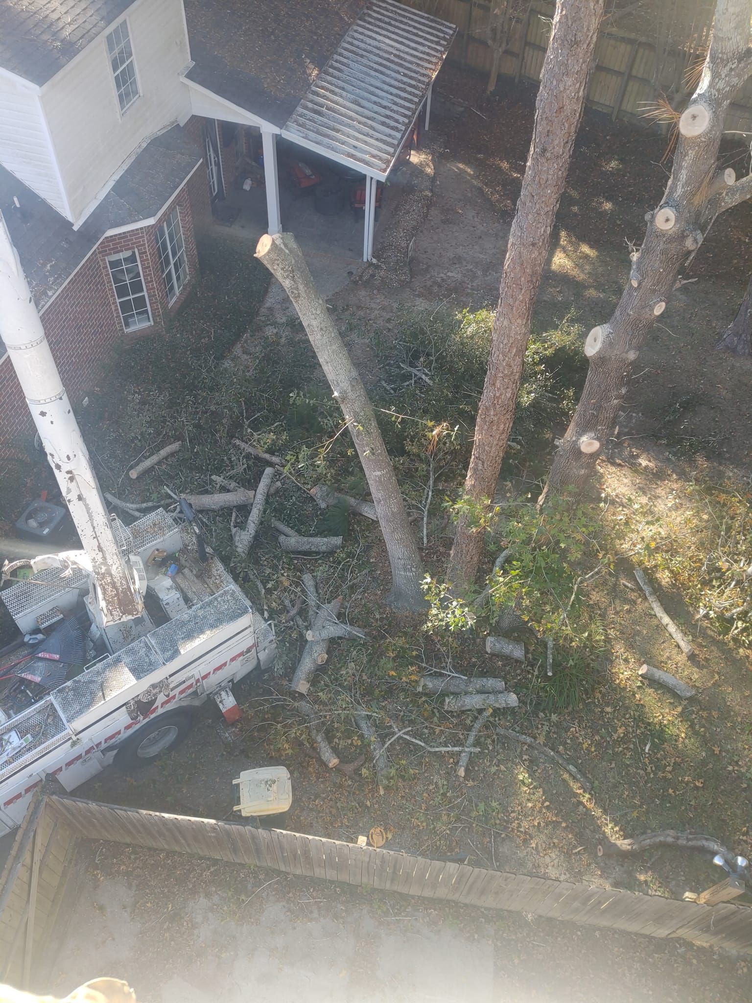 Tree being cut, yard with debris and equipment, house in background.