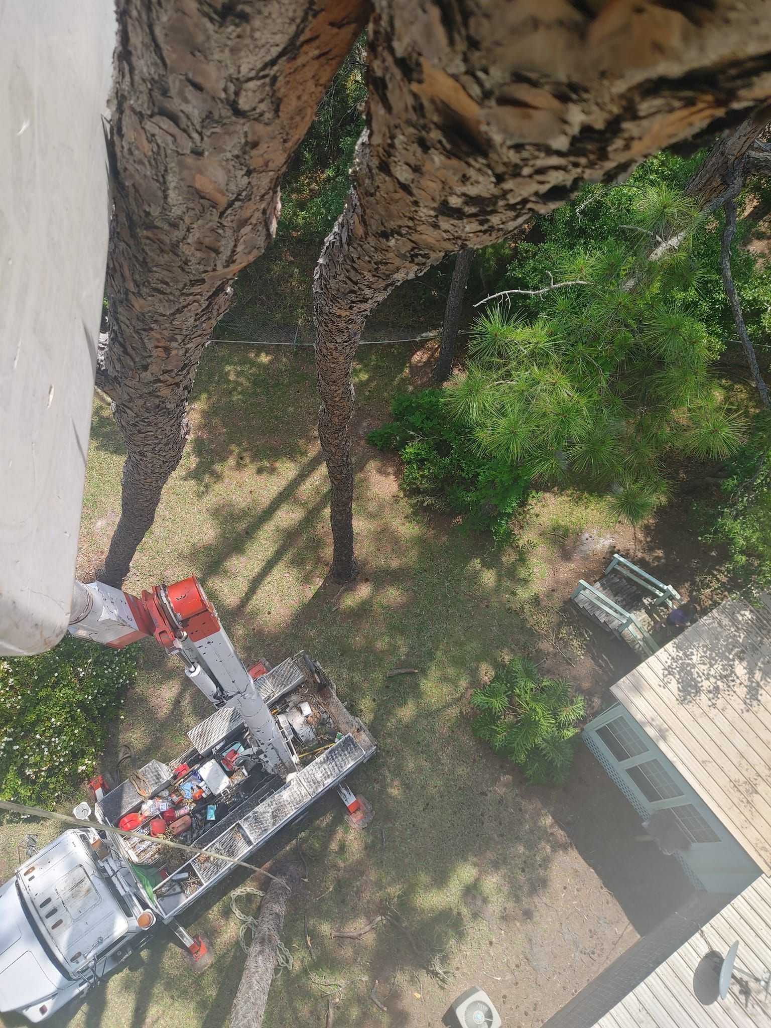 View from a tree of a truck with equipment, next to a house, with a tree trunk in the foreground.