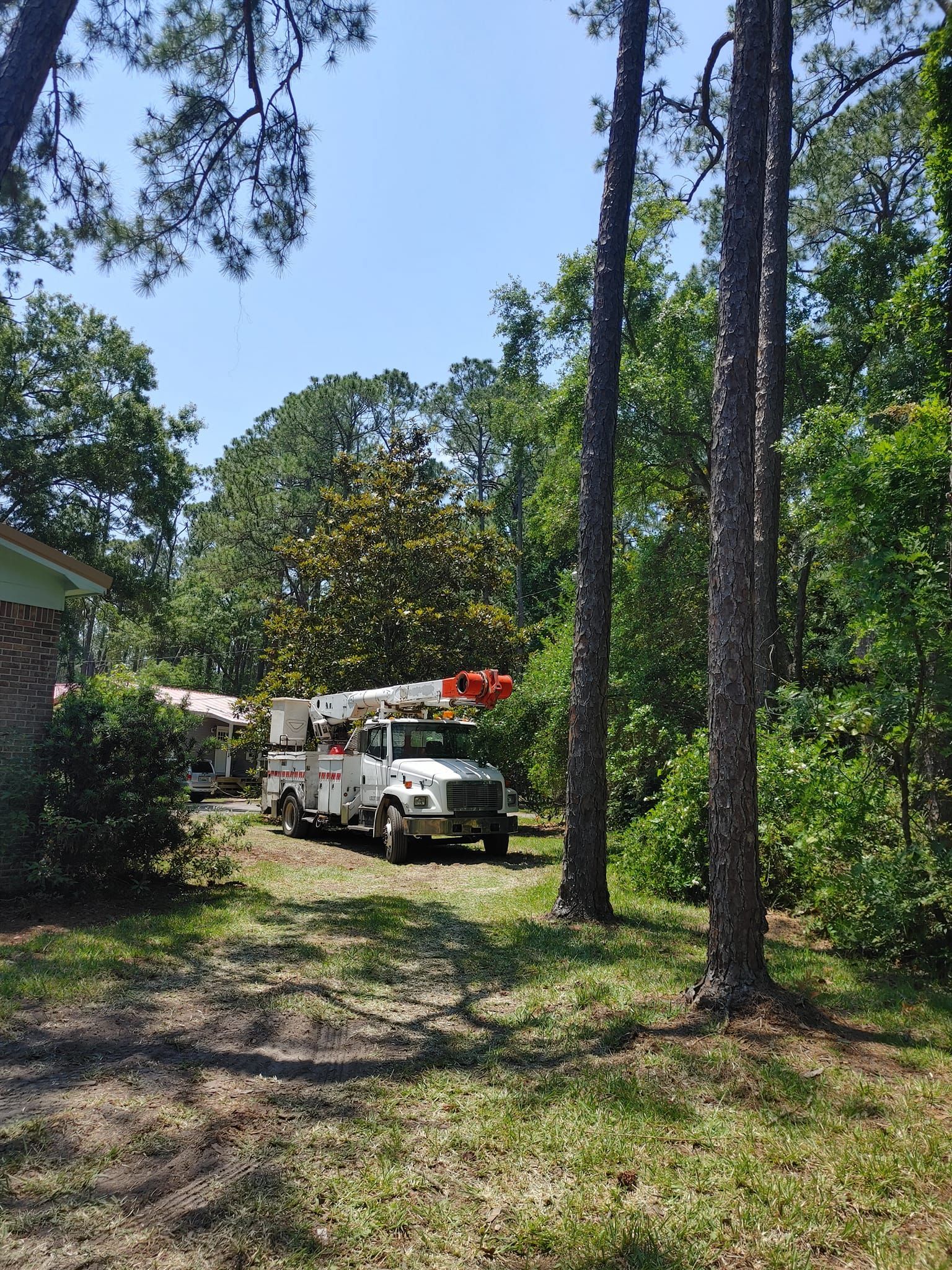 White utility truck parked near trees and a building on a sunny day.