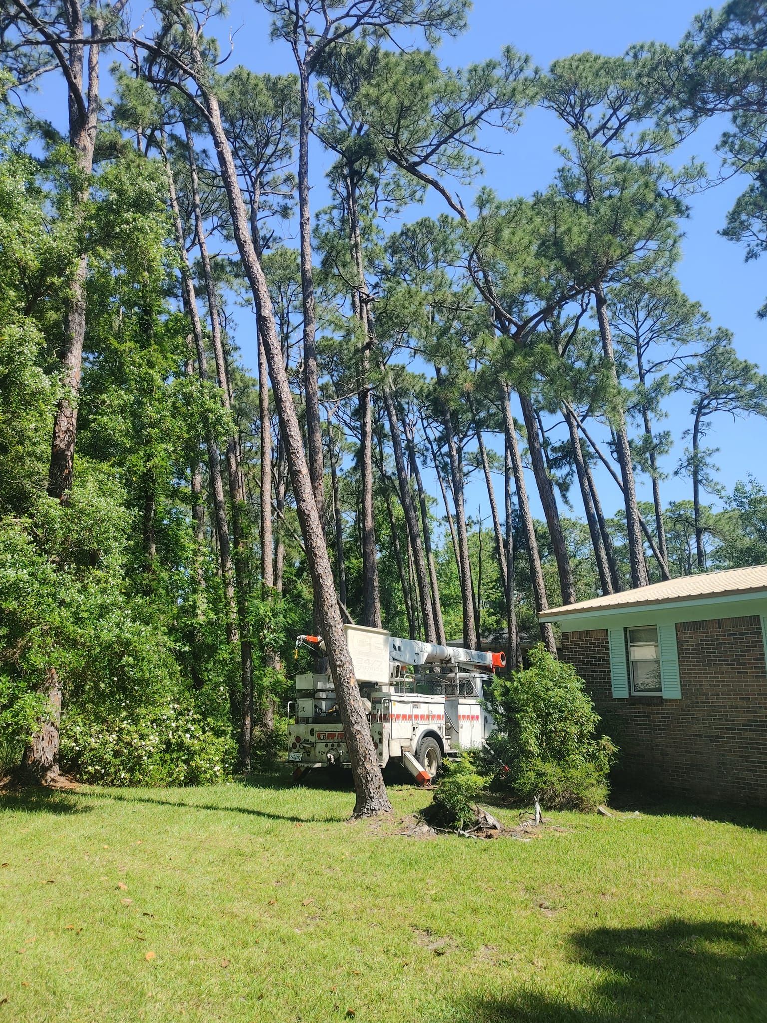 White fire truck parked near tall trees in a yard next to a brick house.