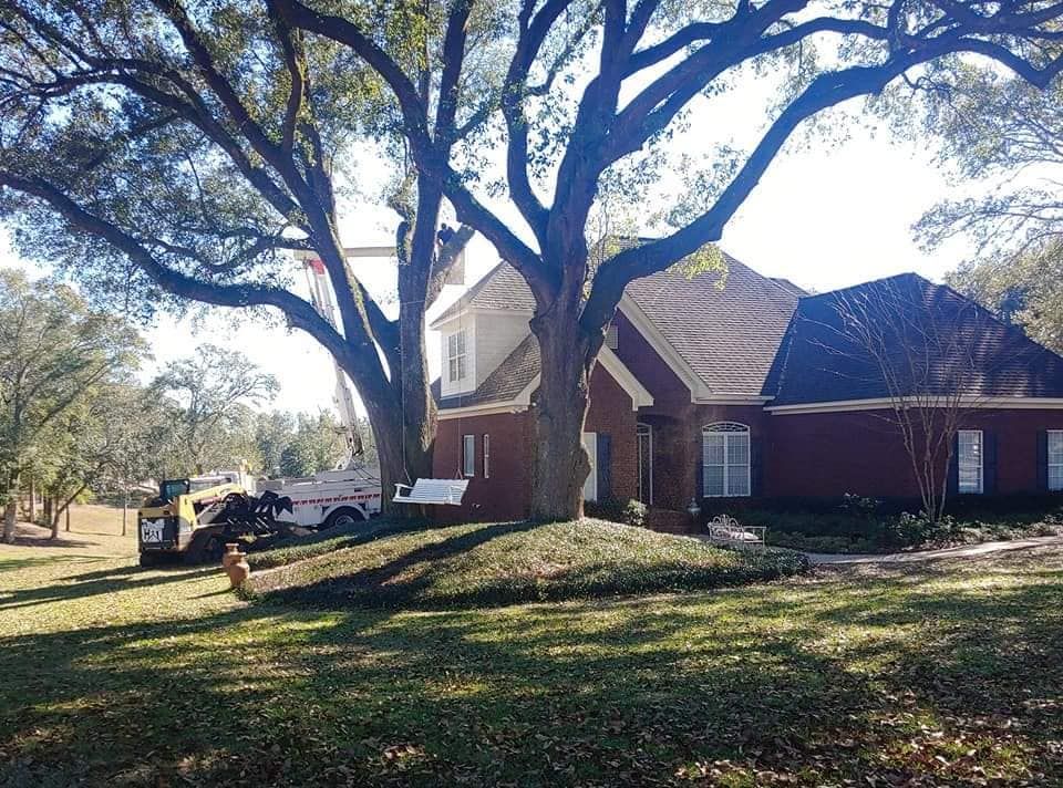 Tree service truck trimming a large tree near a red brick house with a brown roof.