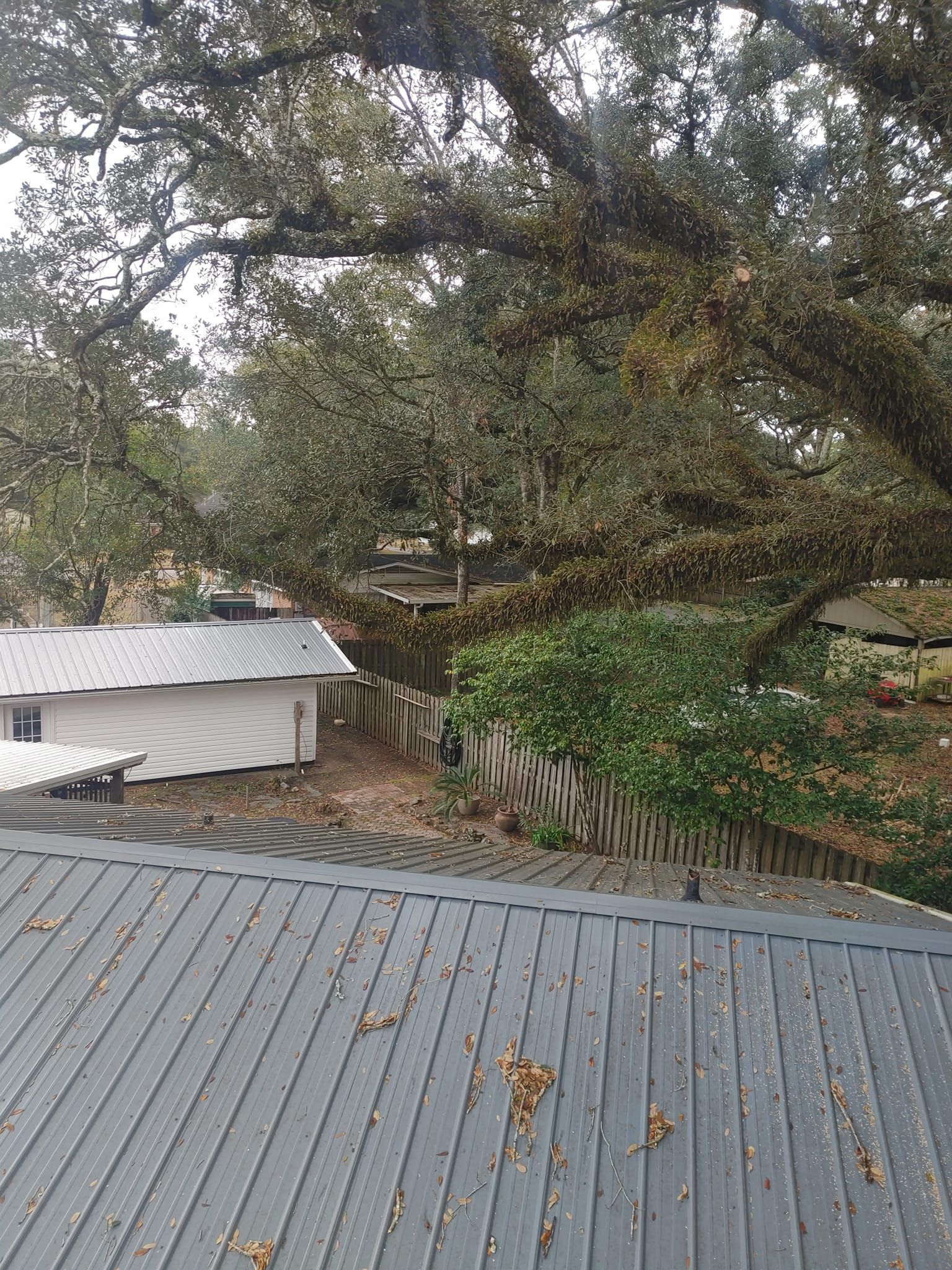 Rooftop view of a metal roof, with buildings, trees, and a wooden fence in the background on a cloudy day.