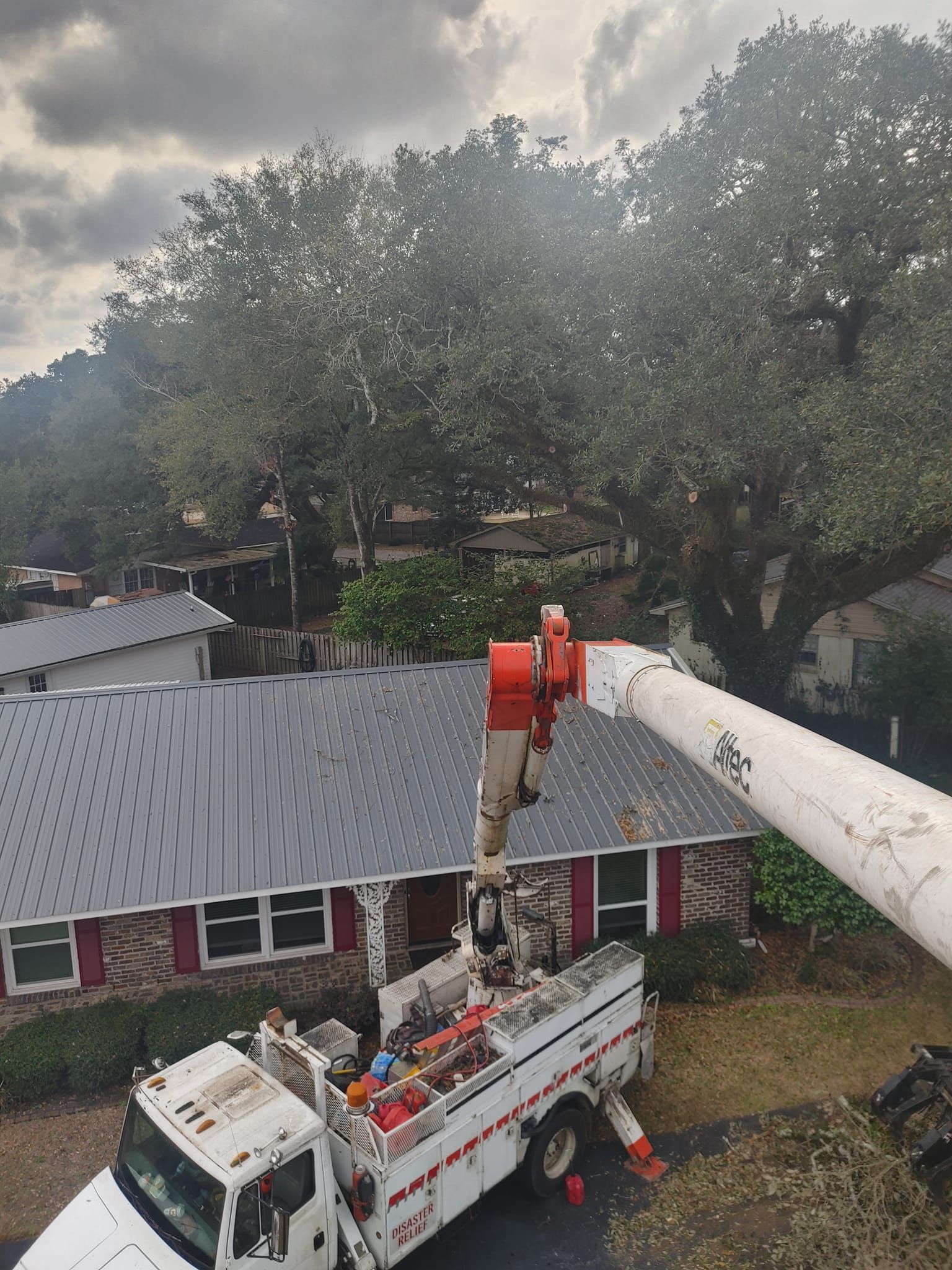 Utility truck boom extending towards large tree, near rooftops. Cloudy sky.