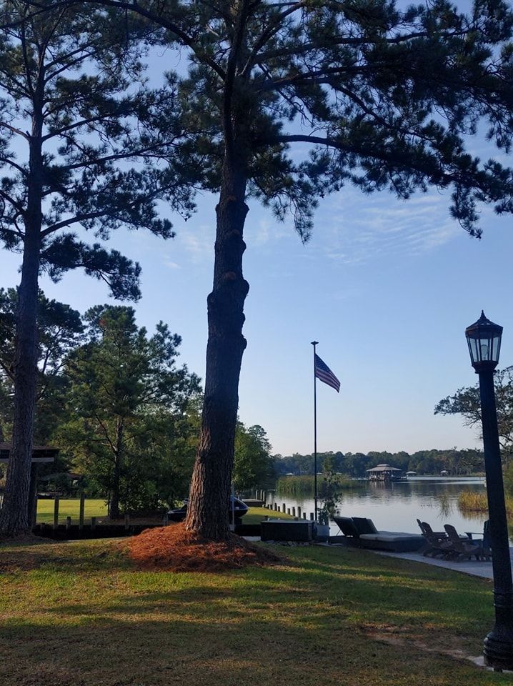 Lakeside scene with trees, American flag, lamppost, and a calm body of water under a blue sky.