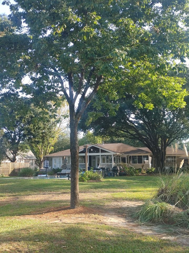 House behind a tree on a grassy lawn; trees surround the house, and sunlight is visible.