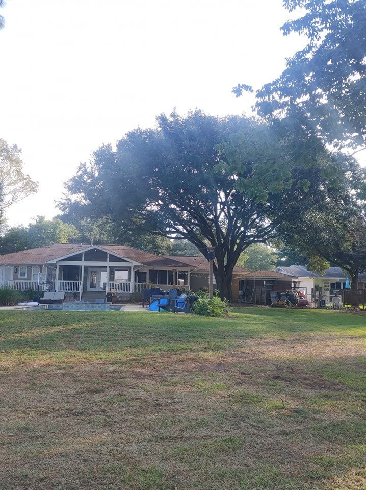 A house with a large tree in front. Lawn, pool, and shed are also visible.