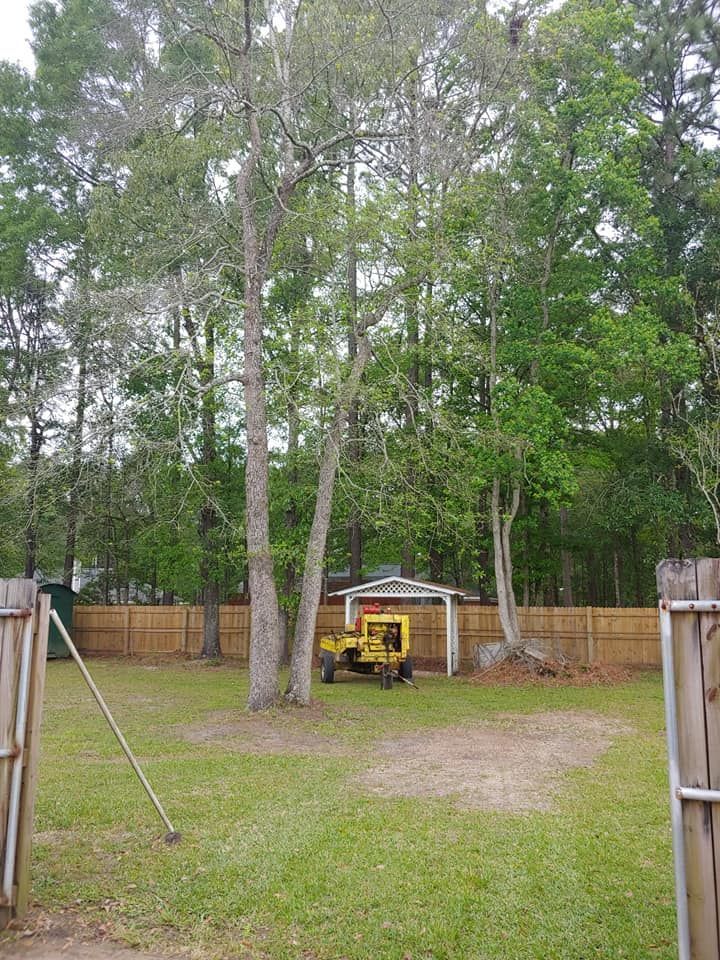 Backyard with trees, a small shed, lawn, and a wooden fence. A yellow machine sits near the shed.