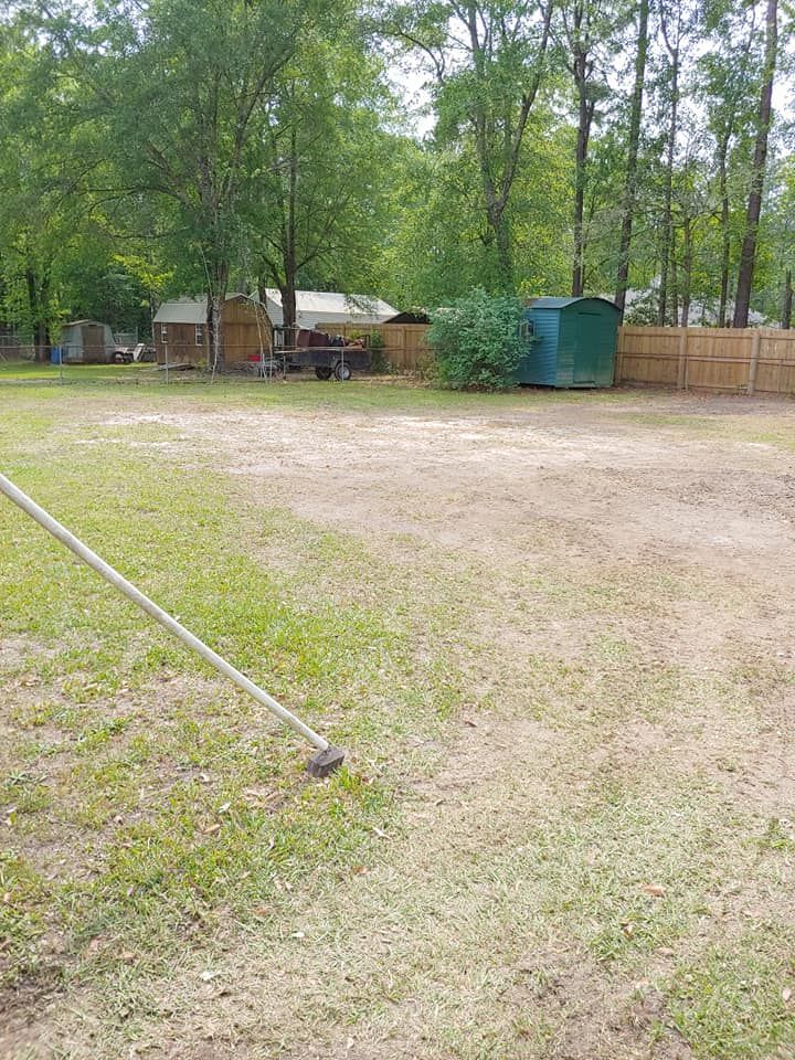 Backyard with a brown dirt patch, grass, a wooden fence, green shed, and trees.