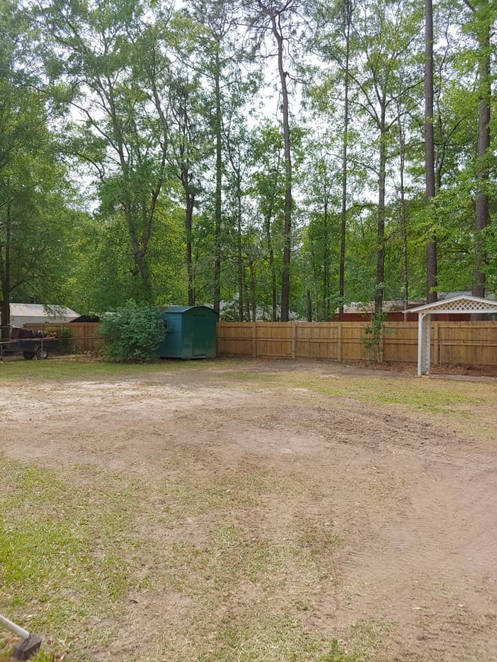 A wide, mostly empty yard with a wooden fence, green shed, and tall trees in the background.