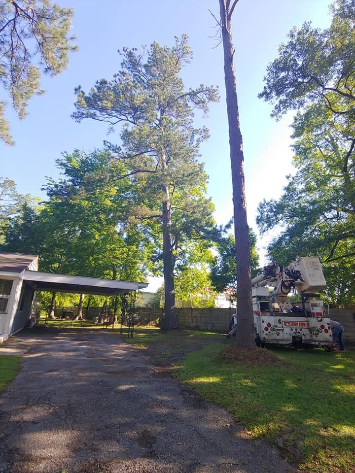 A tree being trimmed by a lift truck near a house, on a sunny day.