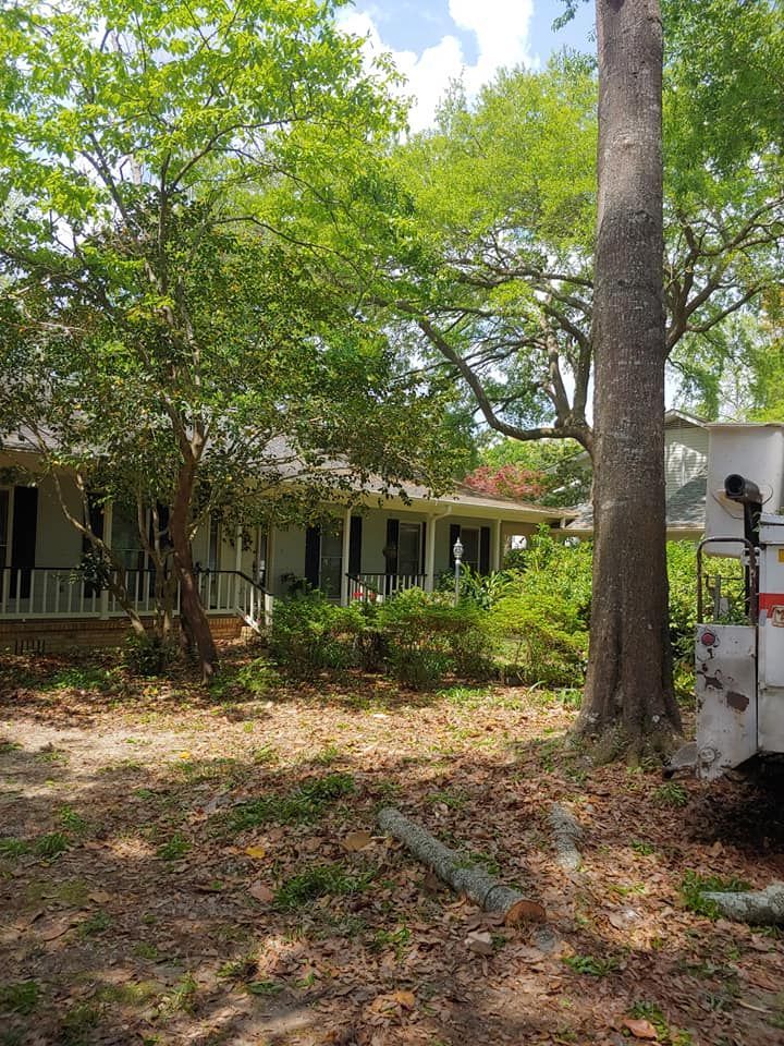 A house partially obscured by trees. There is an exposed tree trunk on the right, and branches are trimmed in front.