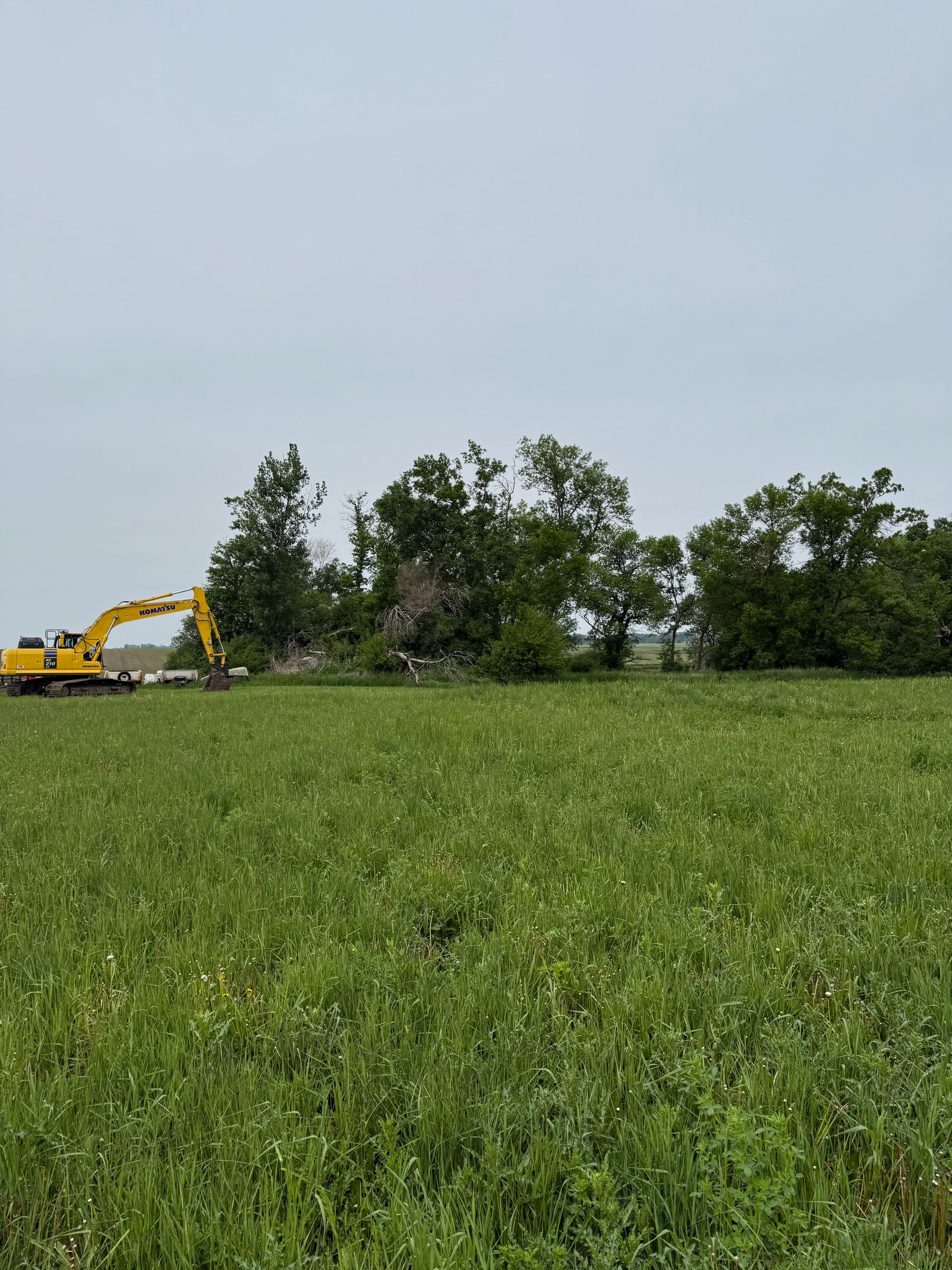 Yellow excavator clearing trees in a green field under a cloudy sky.