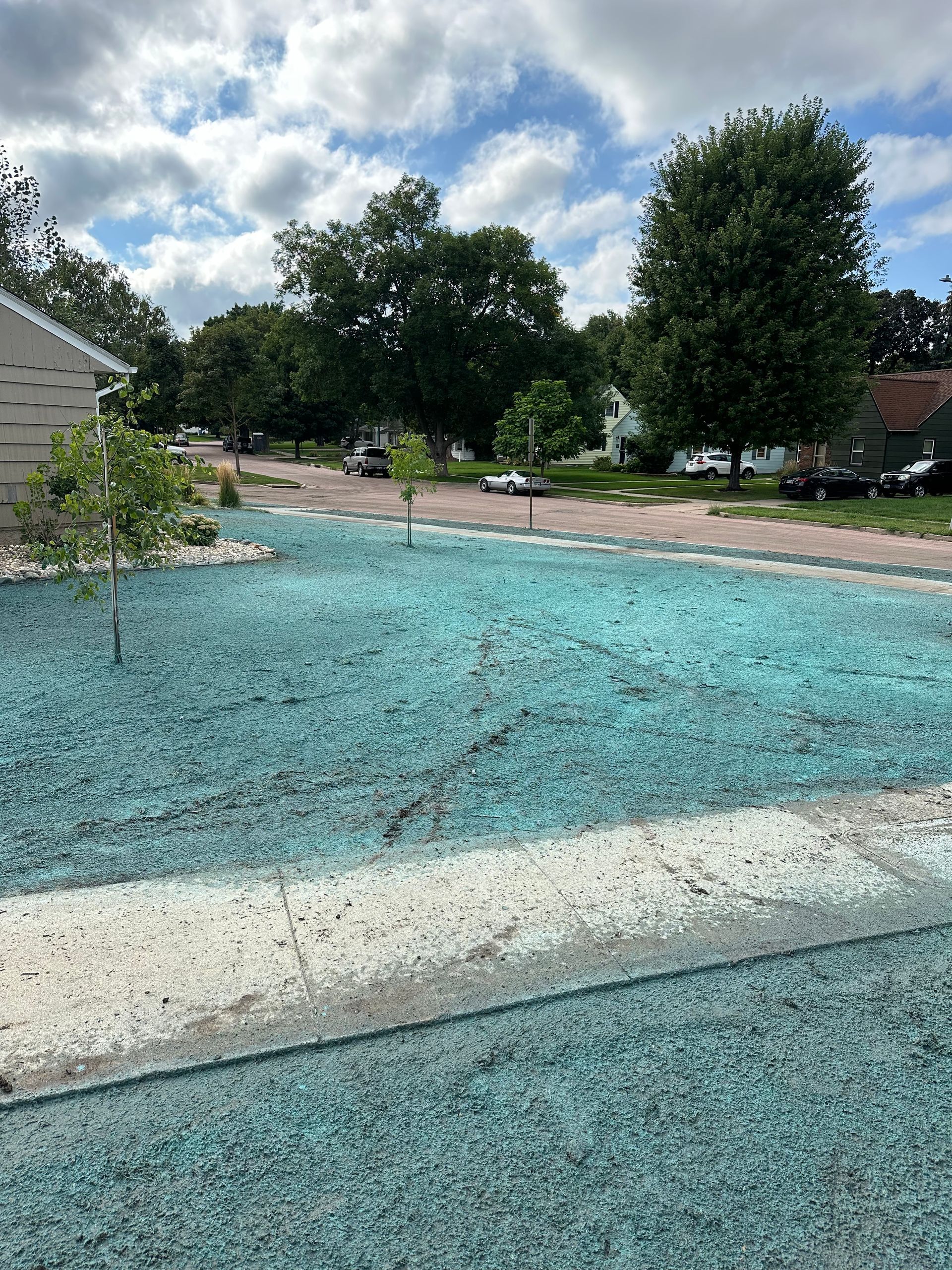 Newly seeded lawn with blue-green mulch, bordered by a concrete walkway. Trees and houses line the street.