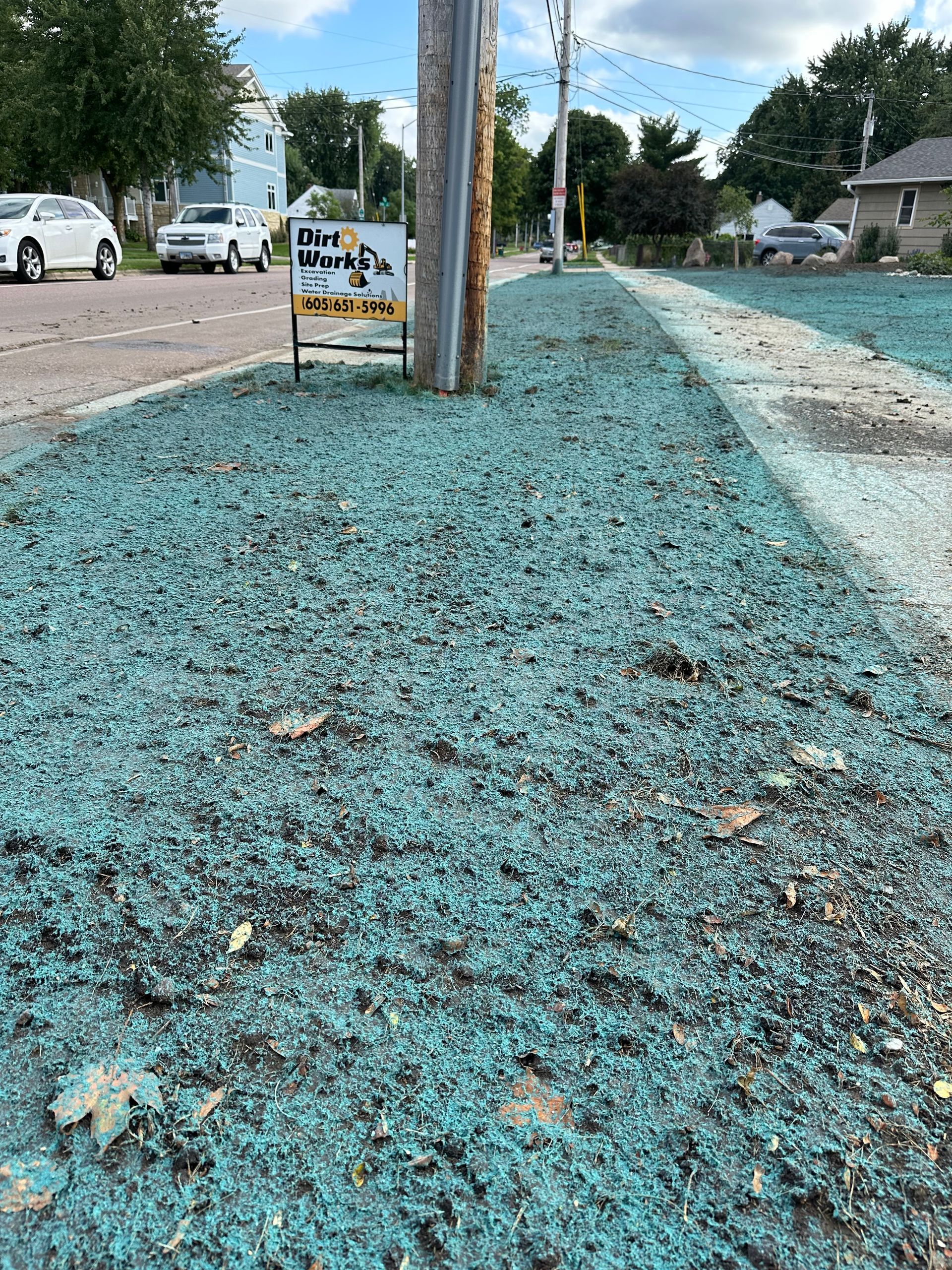 Sidewalk with blue-green mulch, utility pole, street, and parked cars. Sign visible. Sunny day.