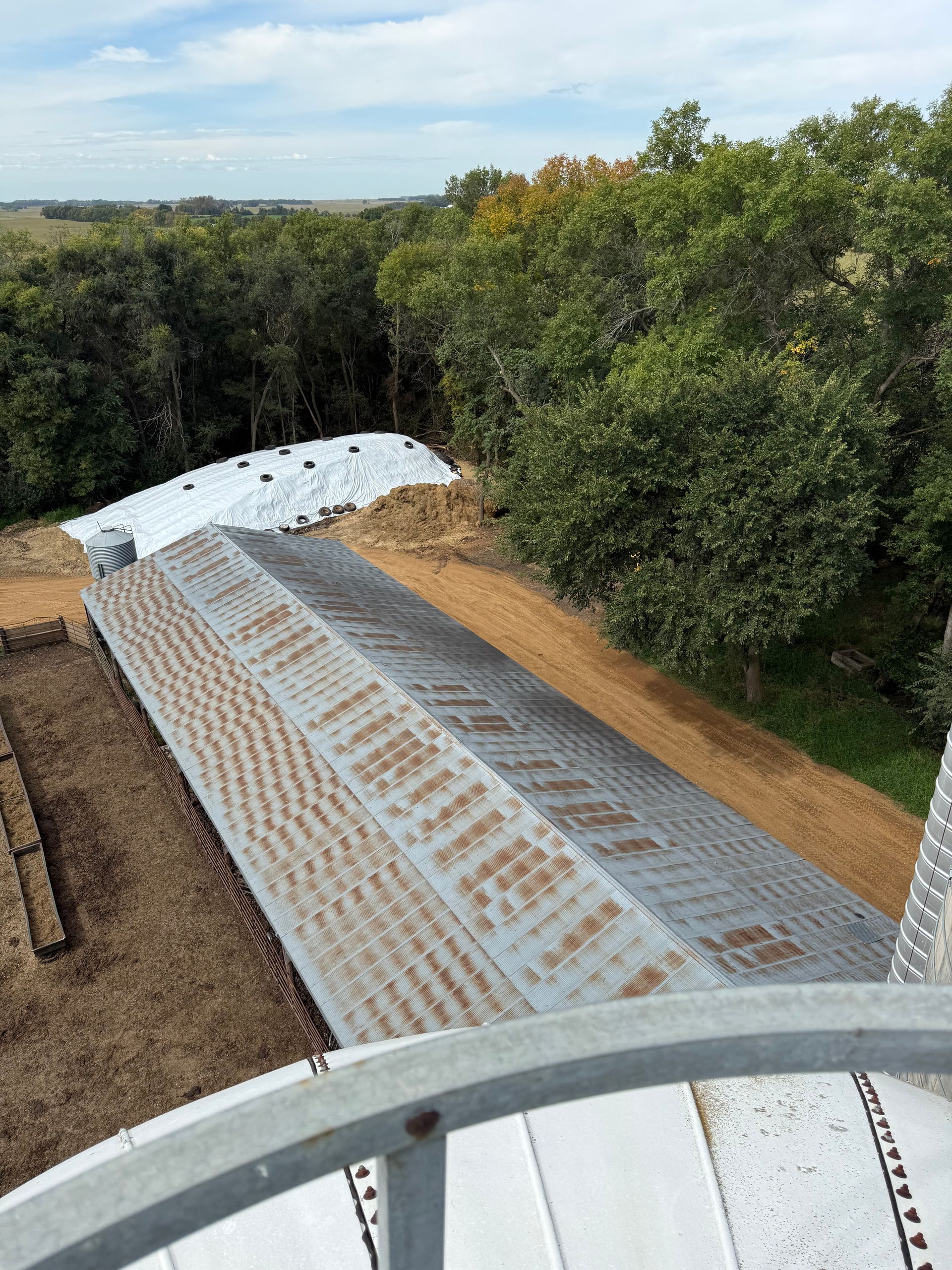 High-angle view of a metal-roofed structure next to trees and a dirt area, under a cloudy sky.