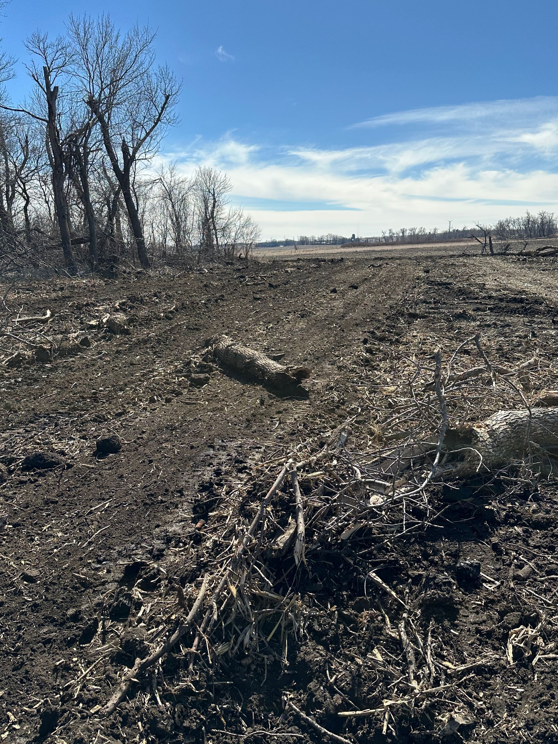 Cleared field with dark earth and scattered debris, trees in background, blue sky.
