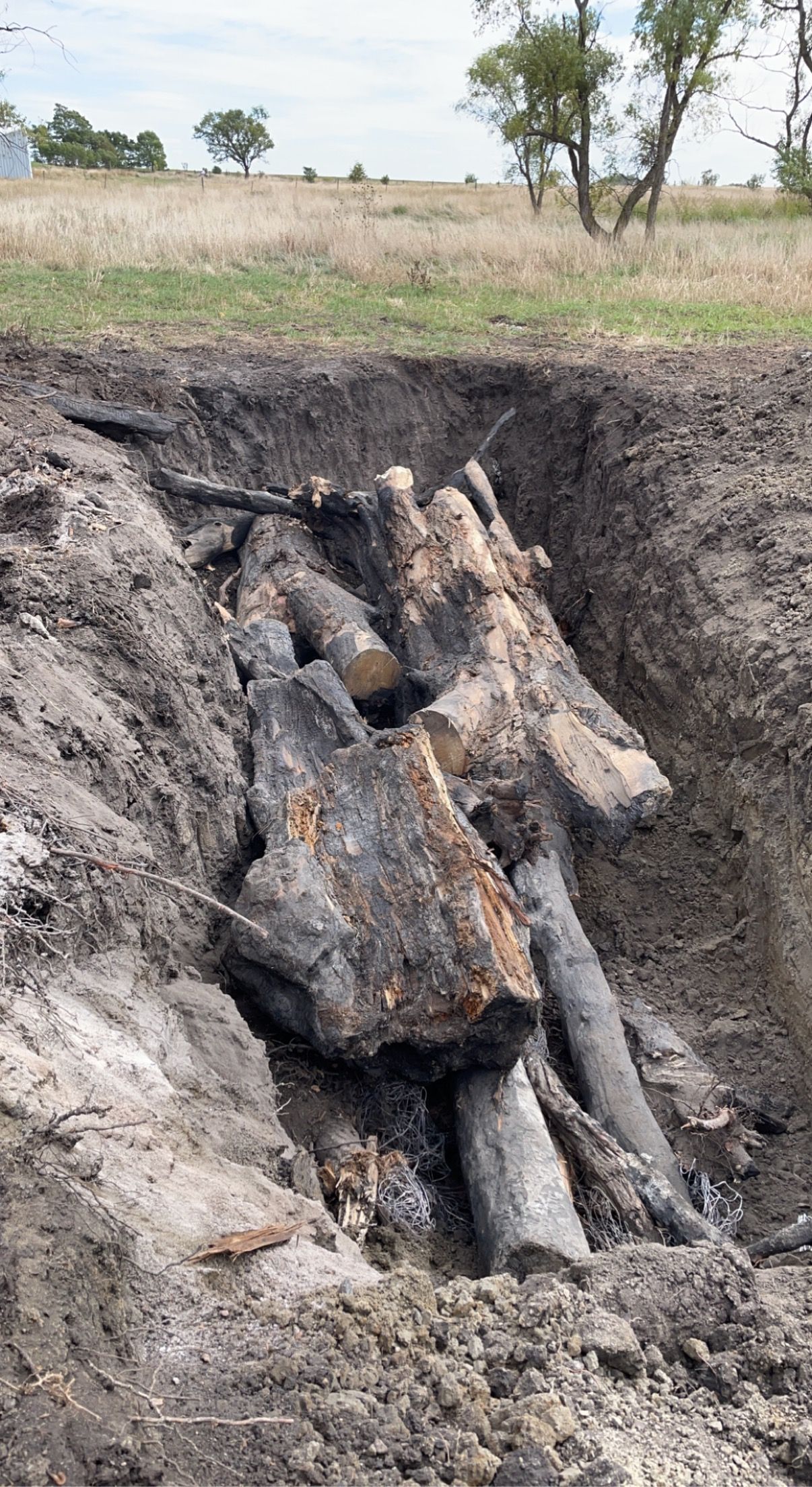 Pile of charred logs in a deep trench, in a grassy field.