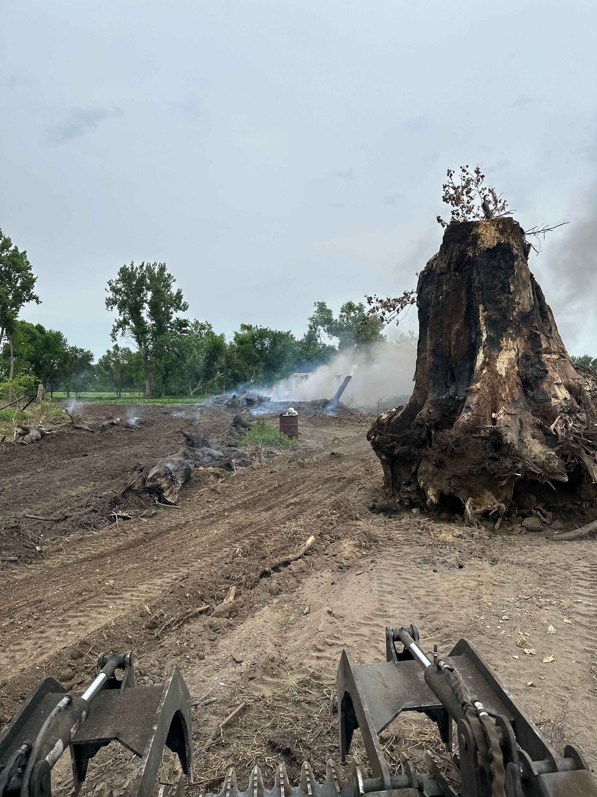 A large tree stump smolders in a cleared field, smoke rising. The scene suggests recent deforestation.