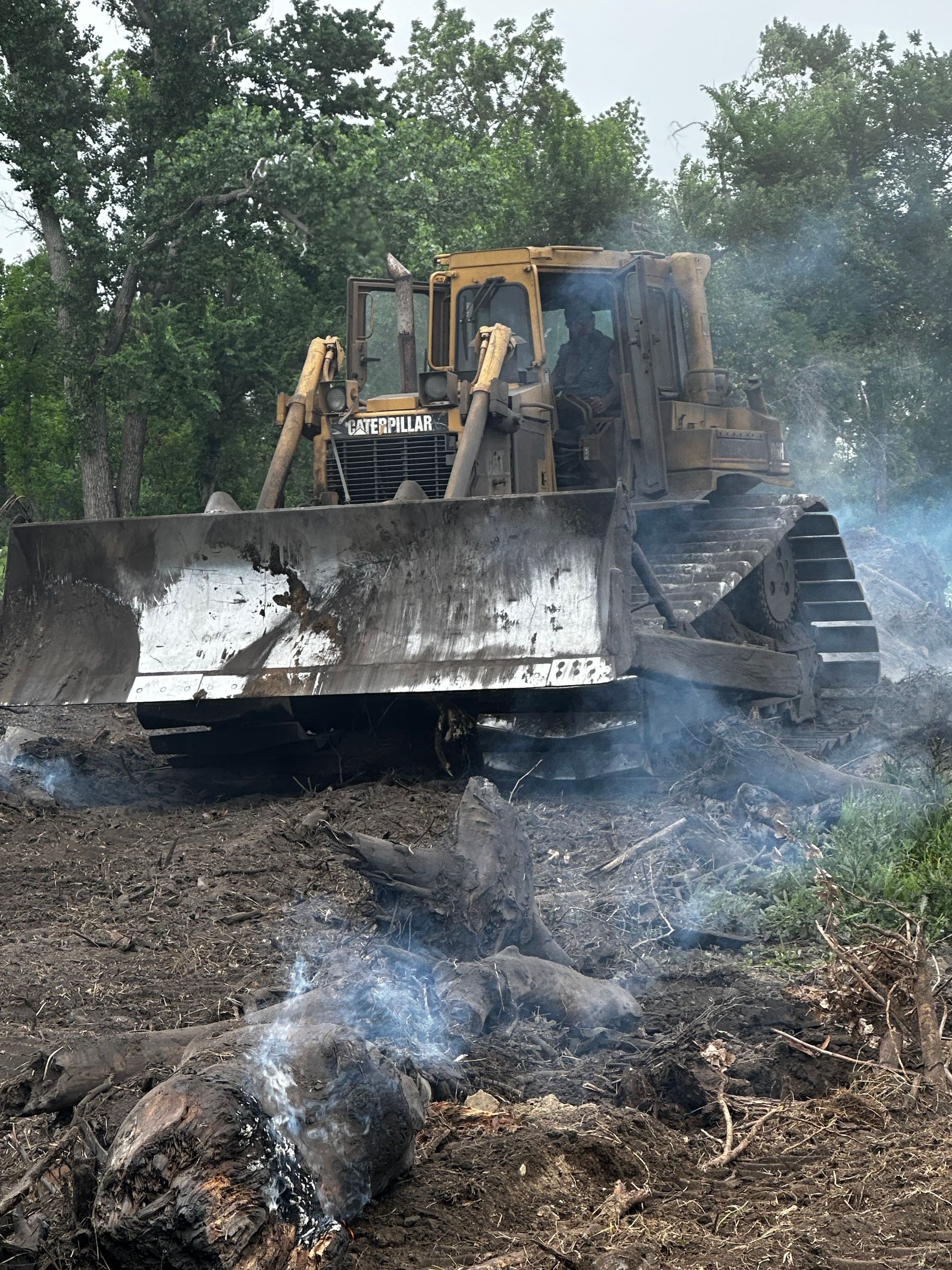 A yellow bulldozer clears land, kicking up smoke and dirt. Trees form a backdrop.
