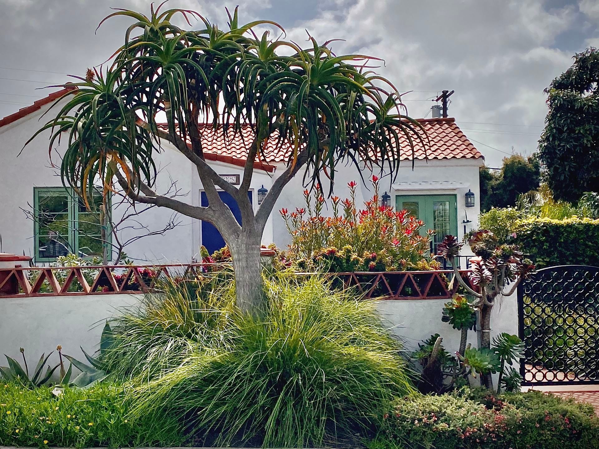 A white stucco house with a red tile roof, surrounded by lush greenery and a distinctive tree in the foreground.