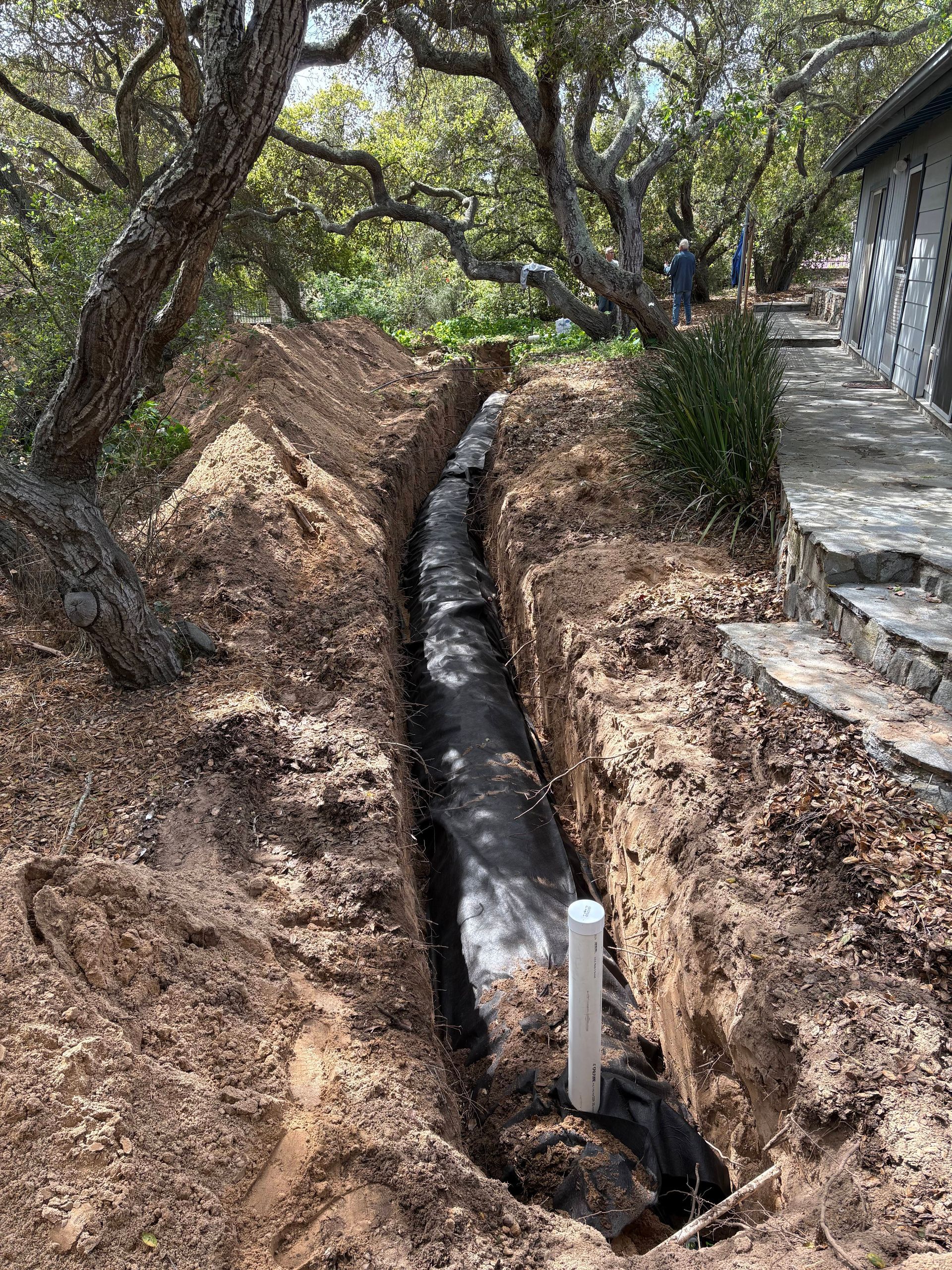 A trench dug in a wooded area next to a building, containing a long black drainage pipe with a white vertical pipe.