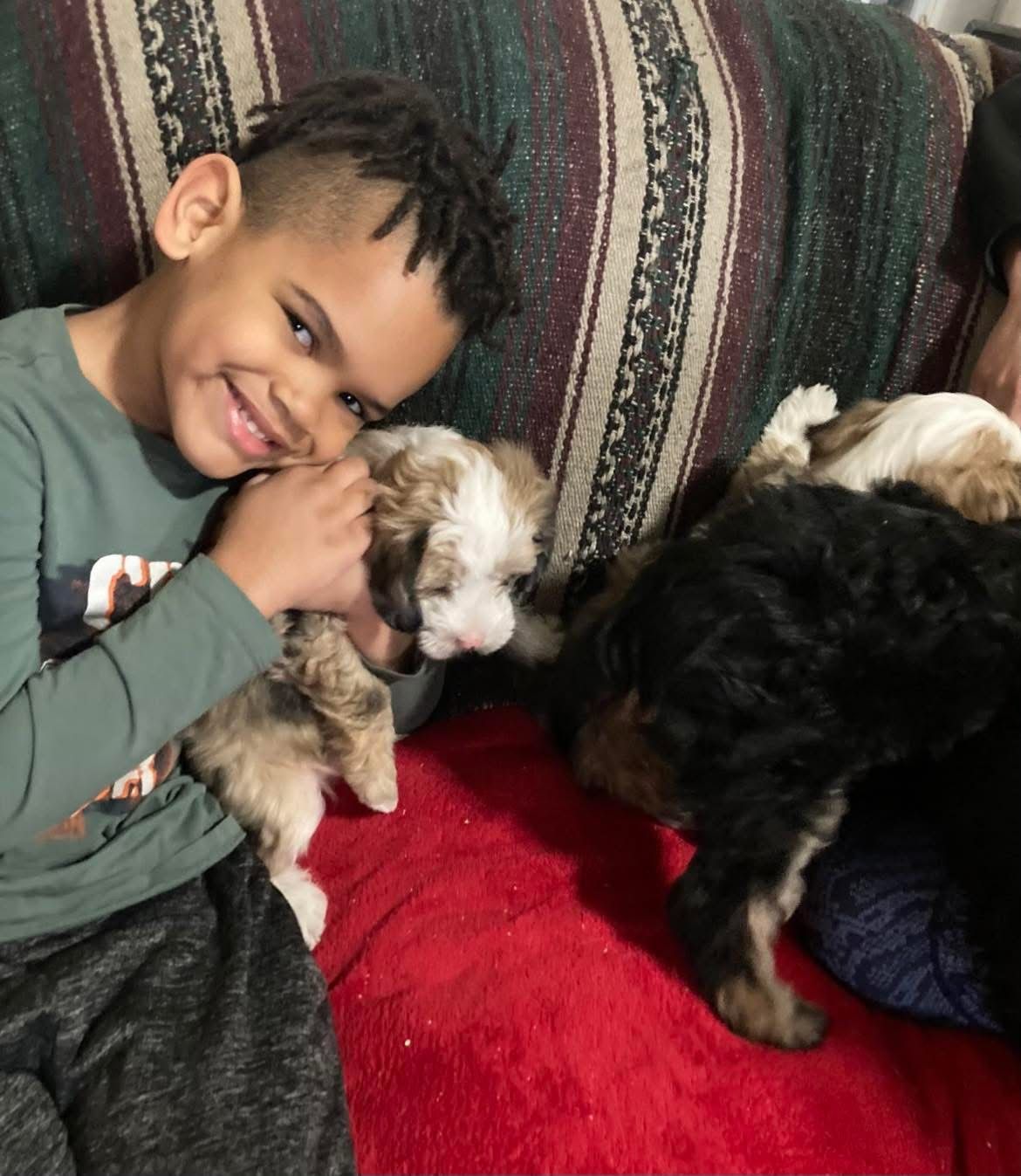 Smiling child hugging a small fluffy puppy on a couch beside another dog