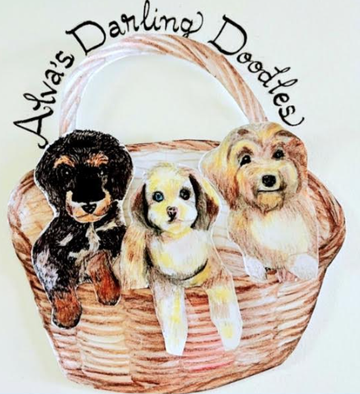 Three puppies in a wicker basket beneath the text &ldquo;Ava&rsquo;s Darling Doodles&rdquo;