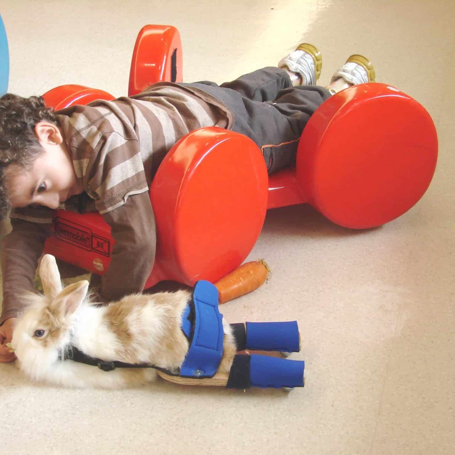 A child is laying on a red toy with a rabbit on the floor