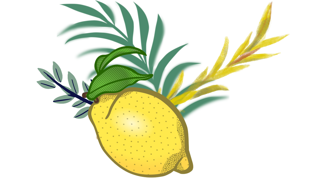 A lemon with a green leaf on top of it.