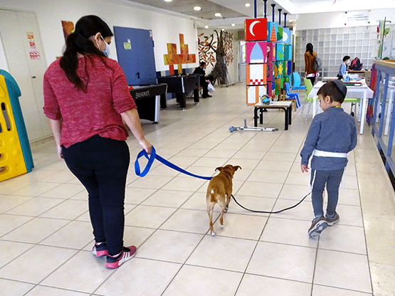 A woman and child are walking a dog on a leash
