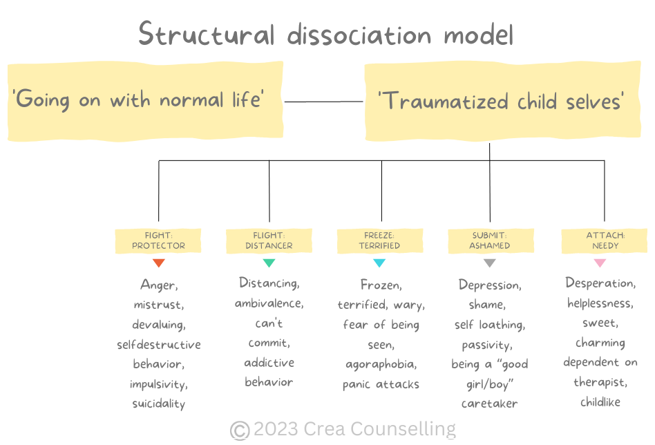 structural dissociation model