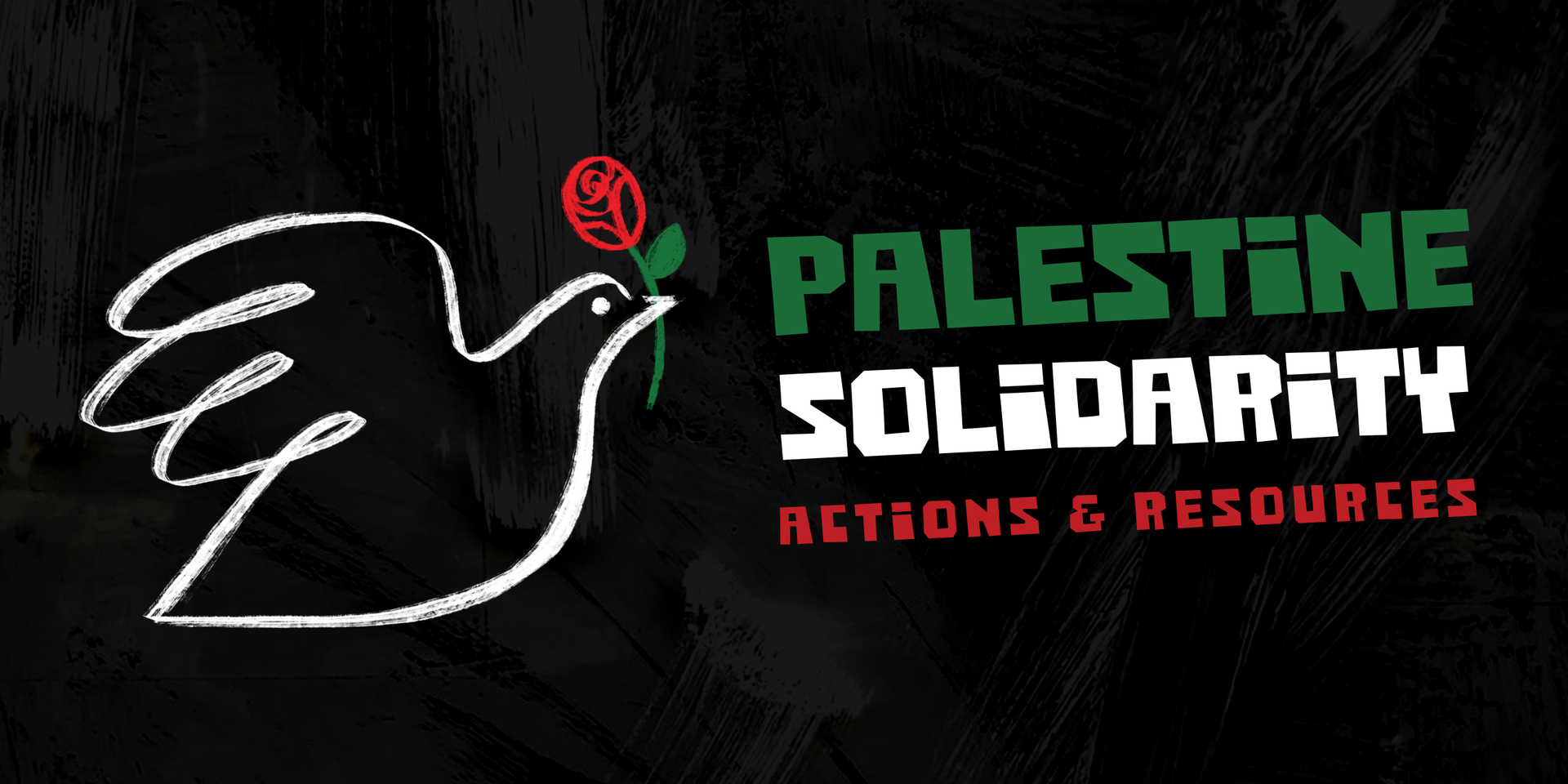 Palestine solidarity