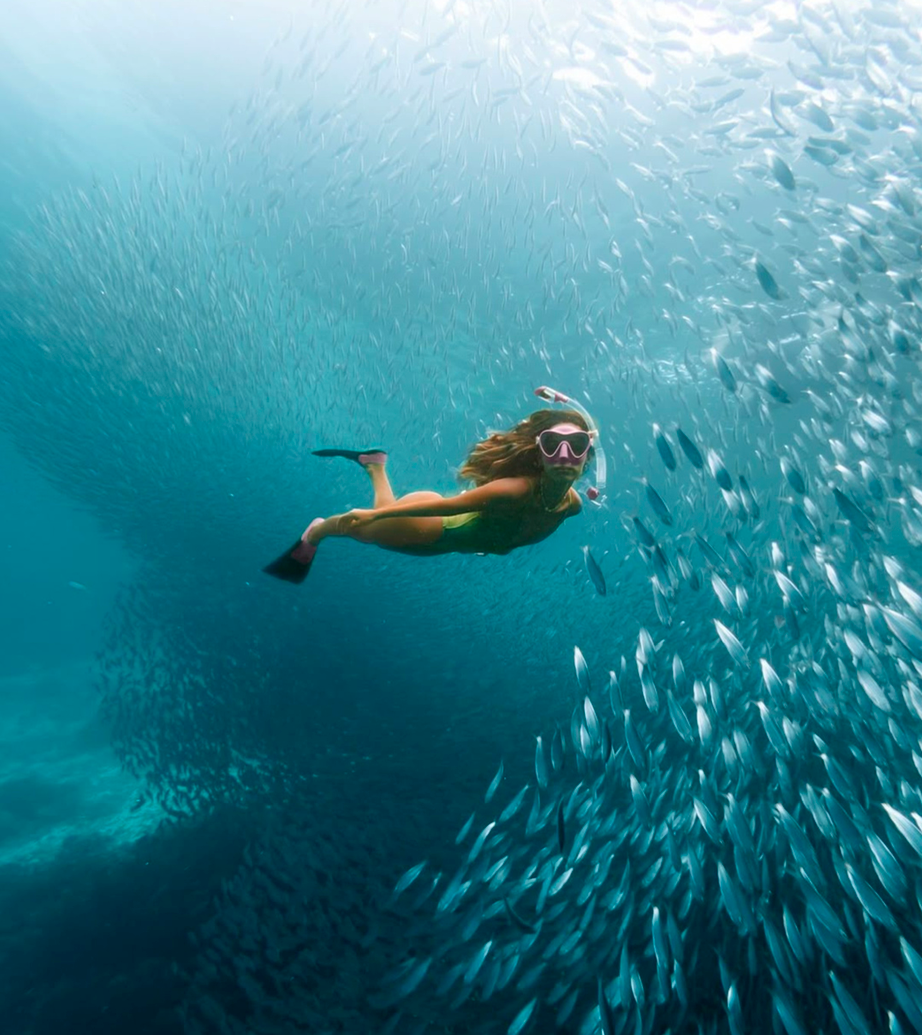 A person in a green swimsuit snorkeling through a large, dense school of small silver fish in clear blue water.