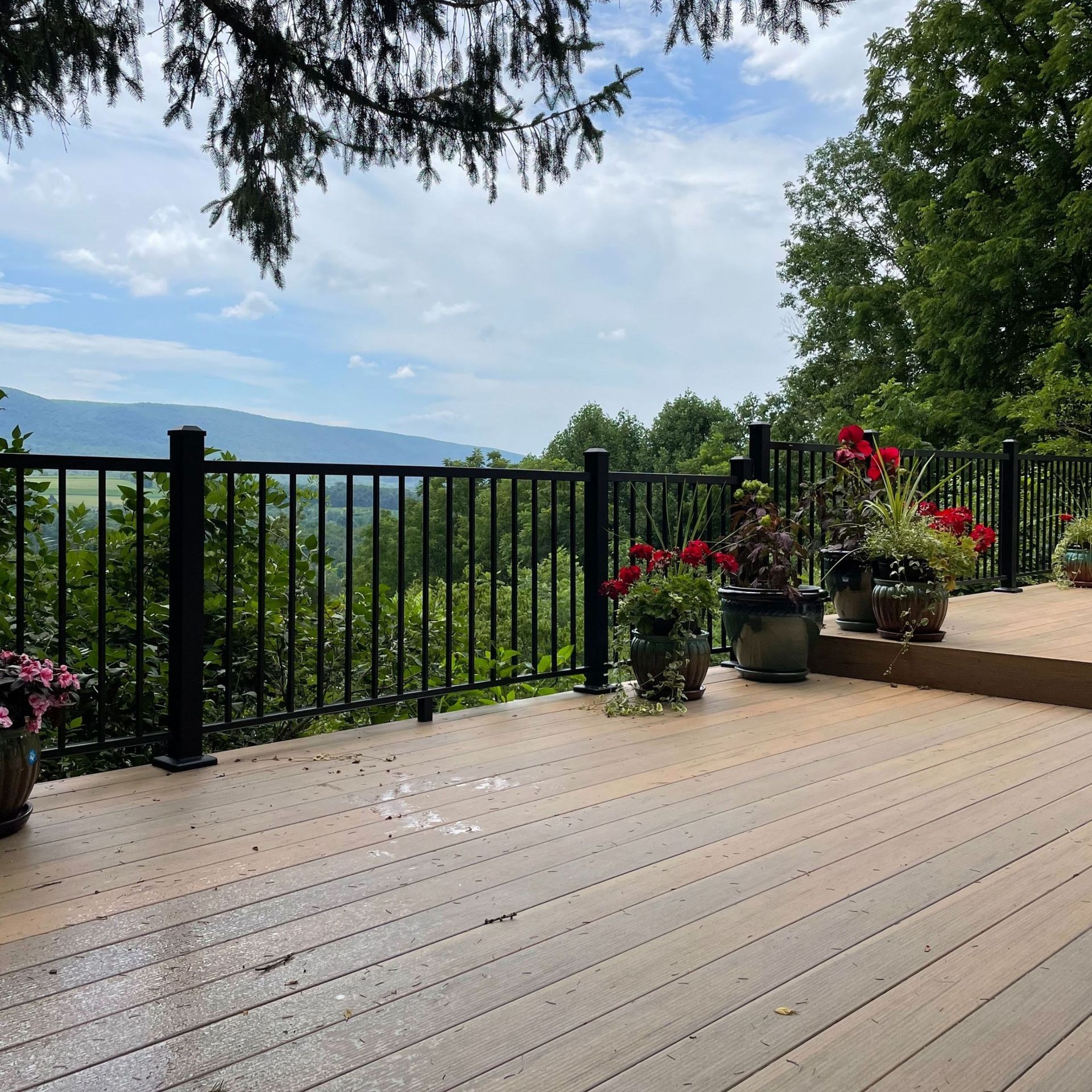 a wooden deck with a black railing and potted plants on it created by WS Design & Build
