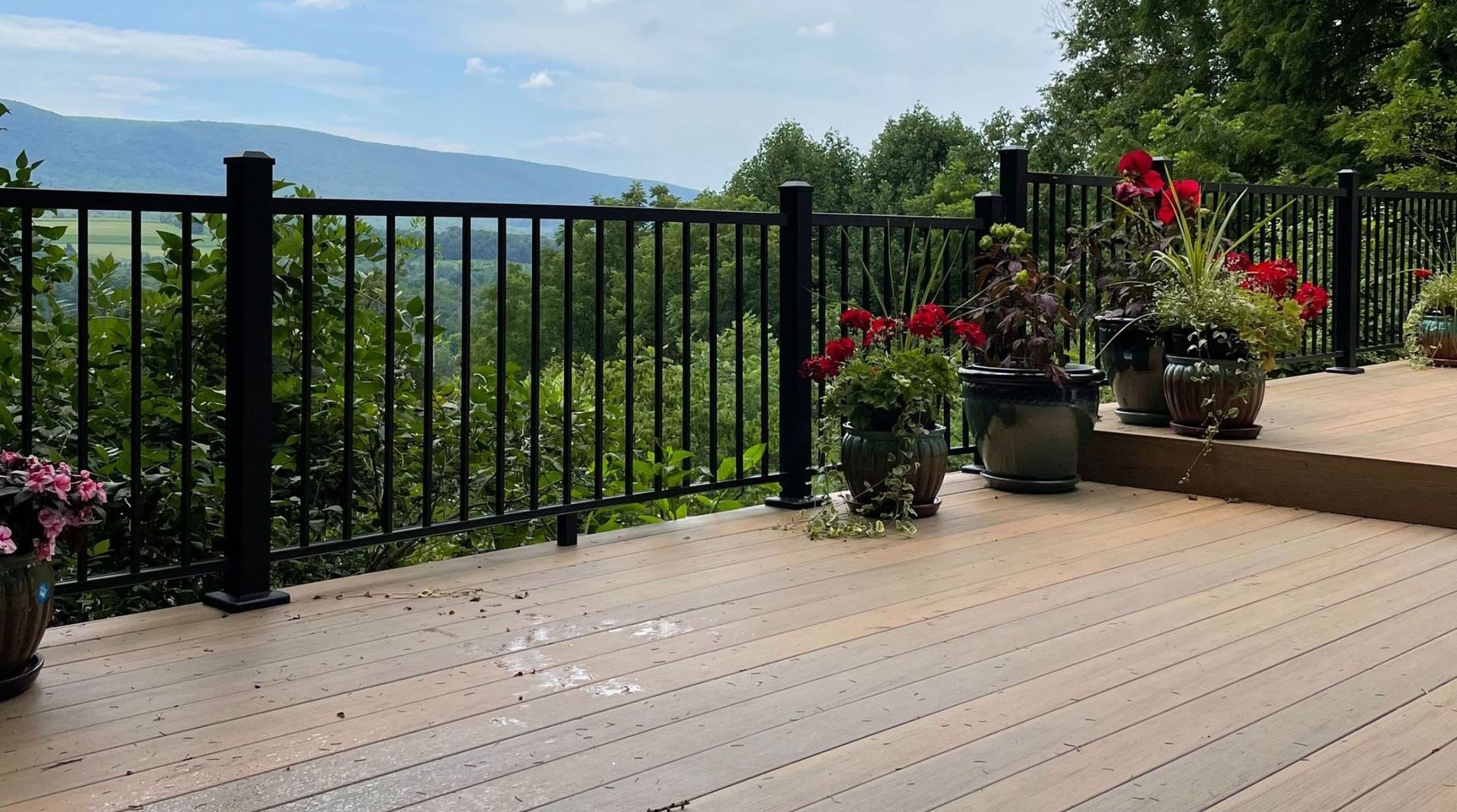 A wooden deck with a black railing and potted plants.