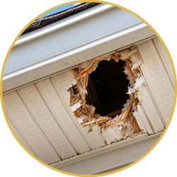 Damaged soffit panel with a large hole exposing dark interior under a roof eave