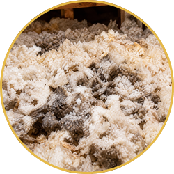 Close-up of coarse white and brown granules piled in a circular frame