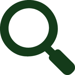 Green magnifying glass icon on a white background