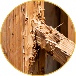 Splintered wooden post with a broken beam against a wooden fence