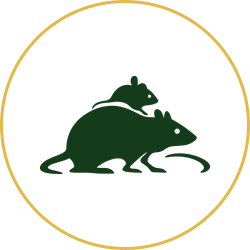 Dark green rat silhouette with a smaller rat on its back inside a gold circle.