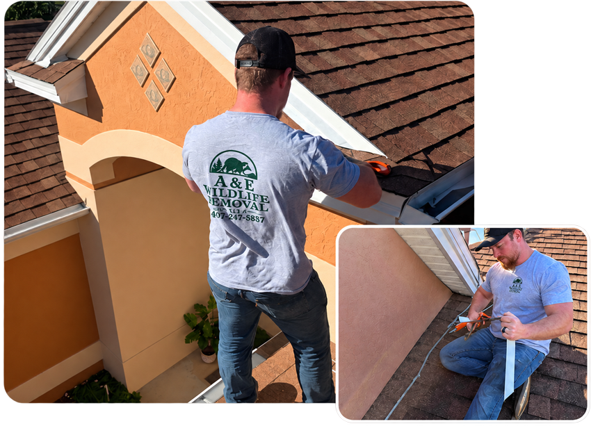 Worker repairing roof shingles on a house, with an inset of a man caulking an exterior wall.