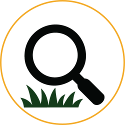 Black magnifying glass over green grass inside an orange circle icon