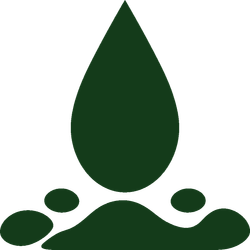Dark green droplet above stylized plant-like leaves on a white background