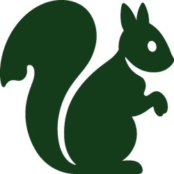 Green squirrel silhouette on a white background, sitting upright with a curled tail