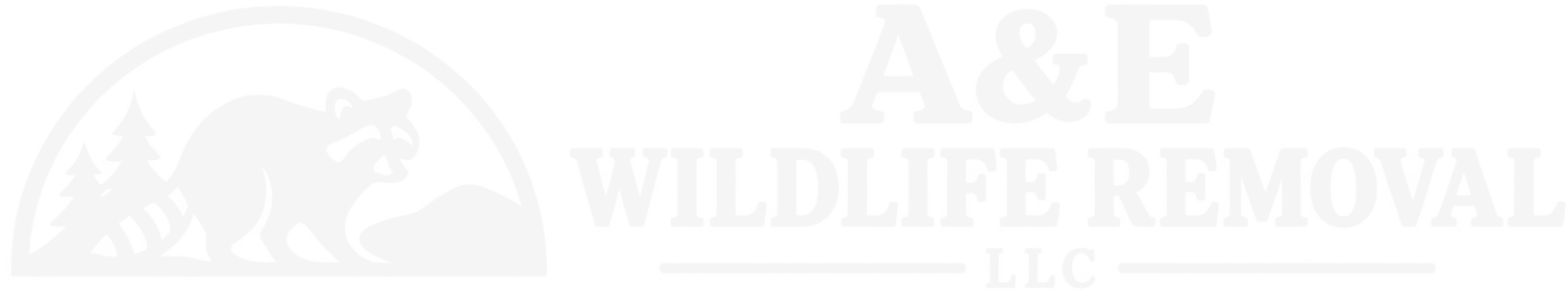 Faded A&E Wildlife Removal logo with elephant silhouette and tree icon, light gray on white background